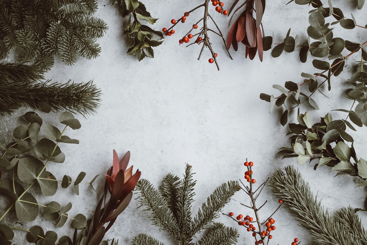 Warmly lit Christmas tree and decorations in a festive indoor setting
